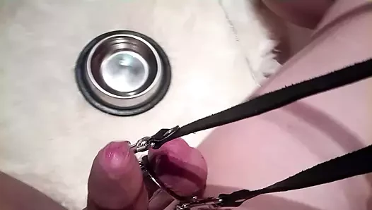 bdsm evcil hayvan oyunu