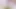 Dört Ayak Üzerinde Düz Erkek Pembe Popo, Zar Almaya Hazır