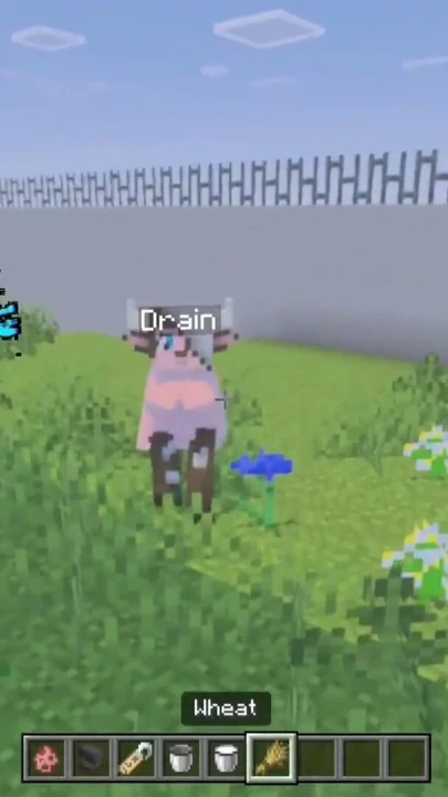 Minecraft Bedrock Girl Mobs - Sıcak kızlarla biraz Minecraft oynayalım | Bölüm 2