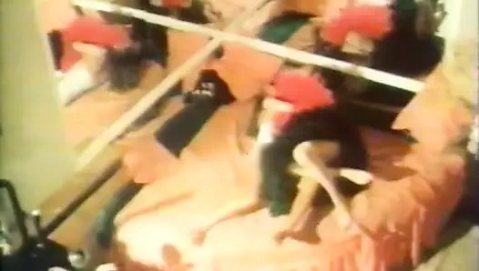 Venikler. polovye schetki (1991) 002-006 valentina grigorieva,