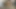 Arap porno filmi onu benimle ders çalışması için aradım iyi anladım