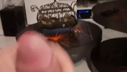 tribute pour  sebelo