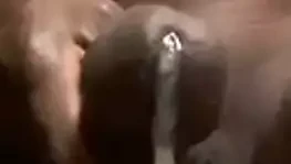 Cubano vergon saca leche