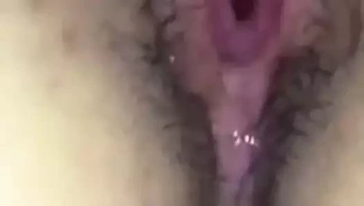 Yakın çekim ıslak saç kedi alay