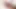 TiegerLilli leckt das Sperma vom Boden