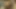 Güzel Briana Banks bir adamın yarağını emiyor ve havuz başında arkadan sikiliyor