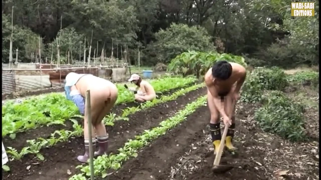 Özgür ruhlu olgun kadınların açık havada yetişkin özgürlüklerini kucakladığı kırsal kaçış -sahne.3