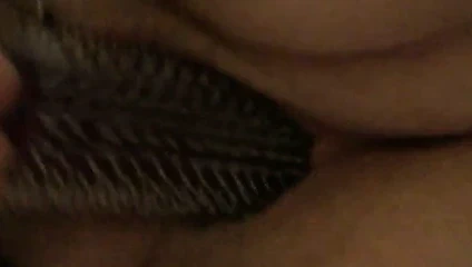 Dana saç fırçasını yapar