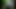 Una Lunga Sosta nel Bosco! (Full Movie)