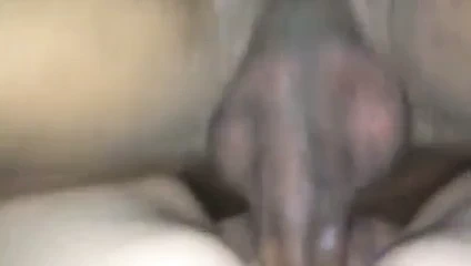 Sıkı kedi becerdin