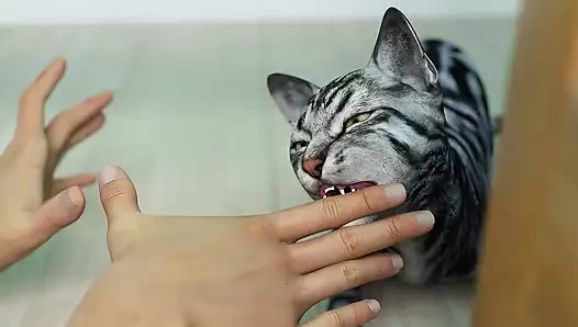 Ücretsiz iradeye hoş geldiniz - #43 - redlady2k tarafından özel paralar