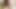 Sapık orta yaşlı seksi kadın anal tıkaçlı canavar dildoyla sikiliyor