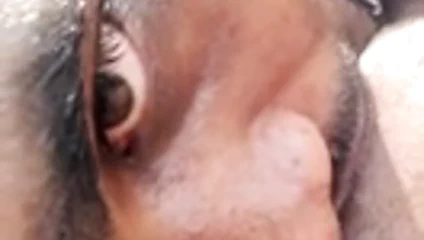 Desi güney Hint açık eğlence