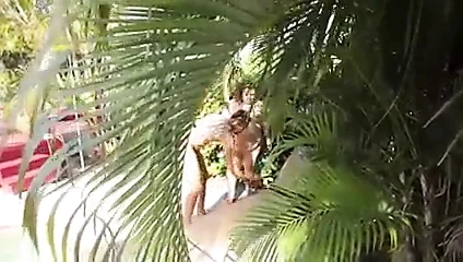 Büyük, titrek ve olgun 2