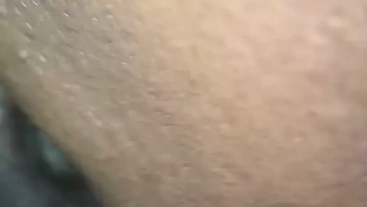 Sulu tatlı kedi kedi yalama tekrar