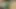 Sert çekirdek seks domaltmalı kovboy kız