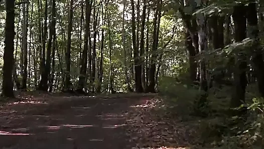 Henry ve haziran 1990, ingilizce