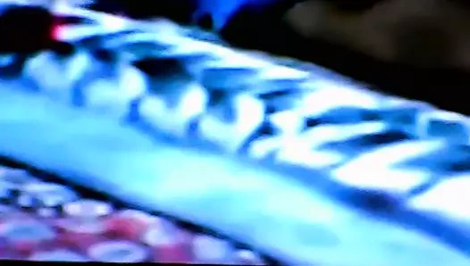 dünya arap eşcinseller derneği