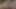Kendime dokunmadan duramıyorum ve penisimi üvey kız kardeşimin ağzına sokmak zorunda kaldım. Fantasiahardcoresex