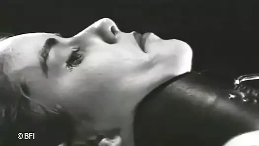 Esaret sanatı 2 - dvd