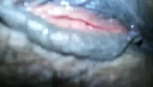 Amcığım