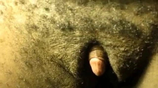 Abanoz büyük phat klitoris mastürbasyon