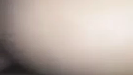 benim desi karısı lanet bir yabancı