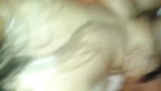 amatör 611 sarışın