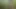 I took off my pants in a public park