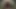 Döl sıçraması ile ormanda oral mutluluk - siyah xxx porno!