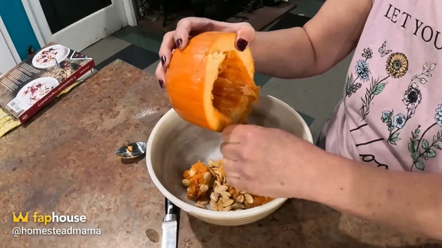 Cheryl pumpkin pie pişiriyor