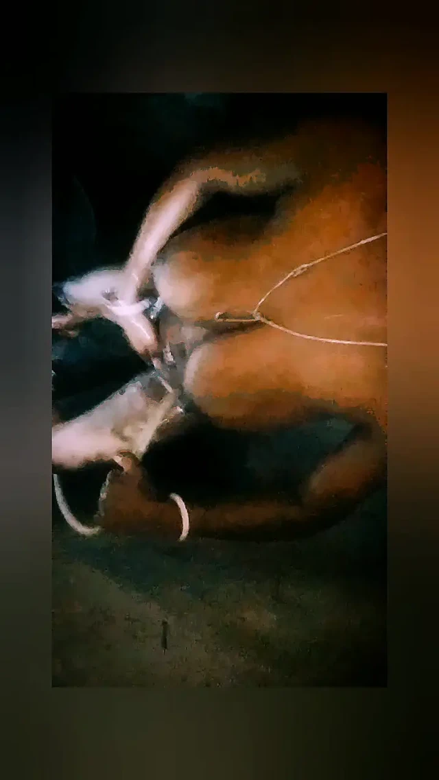 Bengalli büyük kitaplar Hintli ateşli video