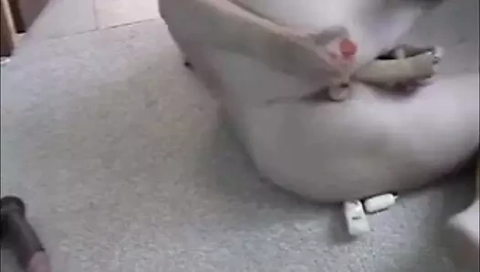 karısı çalışma her iki delik