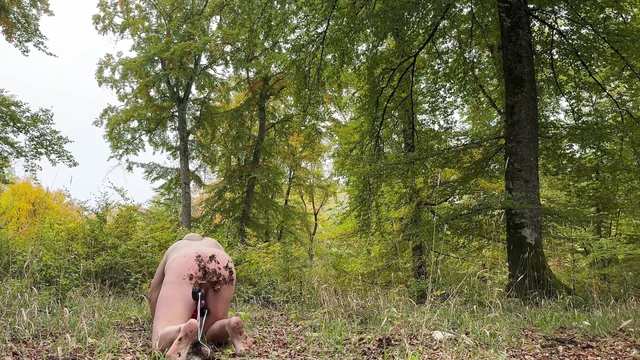 Раб тренирует его яйца