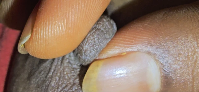 Lisha yengenin seksi götü ve amcığı