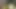 Bakire genç kız oluklu muz öpüyor. Genç kız ilk kez seks yapıyor