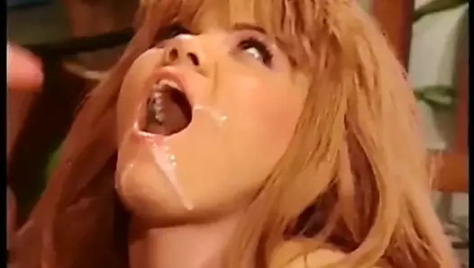 Grup köpek ve yüz bakımı klasik sahne