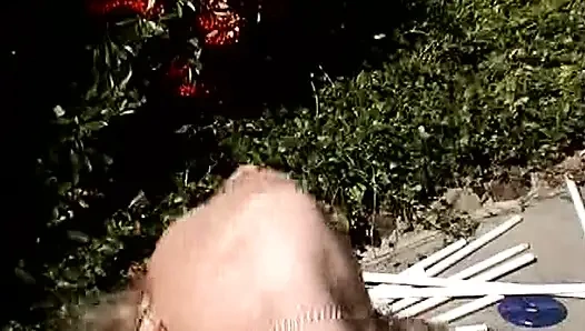 Uma boneca loira bonita fodida ao ar livre até um facial