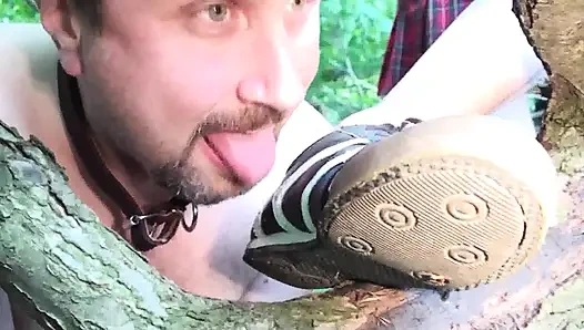 Köle temiz kirli ayakkabıları yalıyor