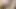 Kıllı amcıklı ateşli genç erkek avcısı orta yaşlı seksi kadın genç bir yarak istiyor