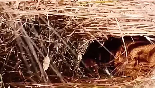 Outdoor sex full body nude outdoors sex