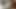 Zenci güzel vücutlu büyük doğal memeler büyük siyah yarağı emiyor ve sikiyor
