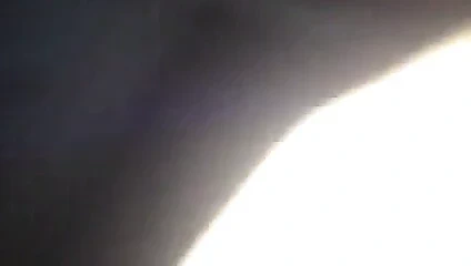 Kahrolası tijuana fahişe bölüm 2