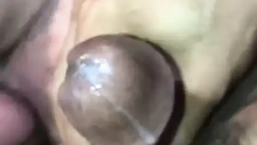 2 musluklar içinde kathy büyük kedi