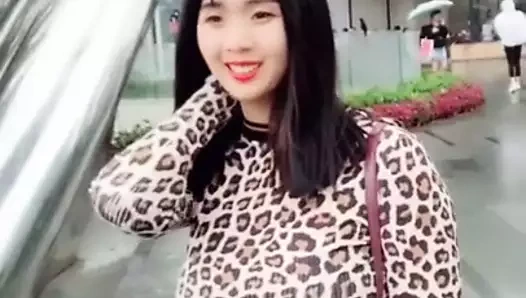 Büyük memeli Asyalı