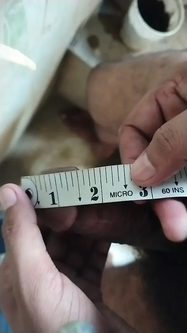 Penis boyutum ortaya çıktı