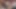Üvey kız kardeş boşalmak için inliyor, arkadan sikiliyor