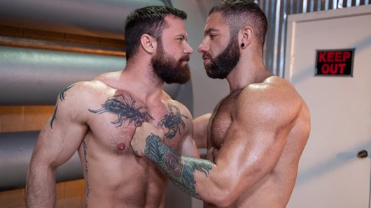 Bearded muscle çocuklar aşk anal kahrolası