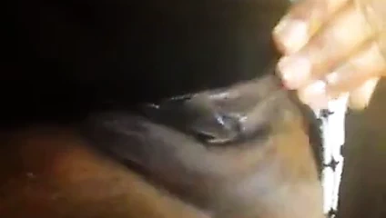 Esmer şekerim ............. squriting