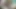 Candee kendini okşuyor ve yapay penisle seks oyuncağını yalıyor
